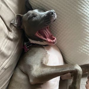 Meet your Posher, Bianca